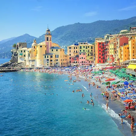 Charming Flat Historic Center - Happy Camogli